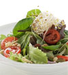 Lettuce and Sprouts Salad